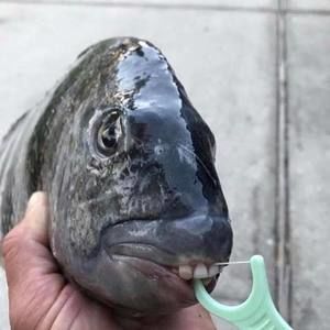 Meet your Posher, Rogelio